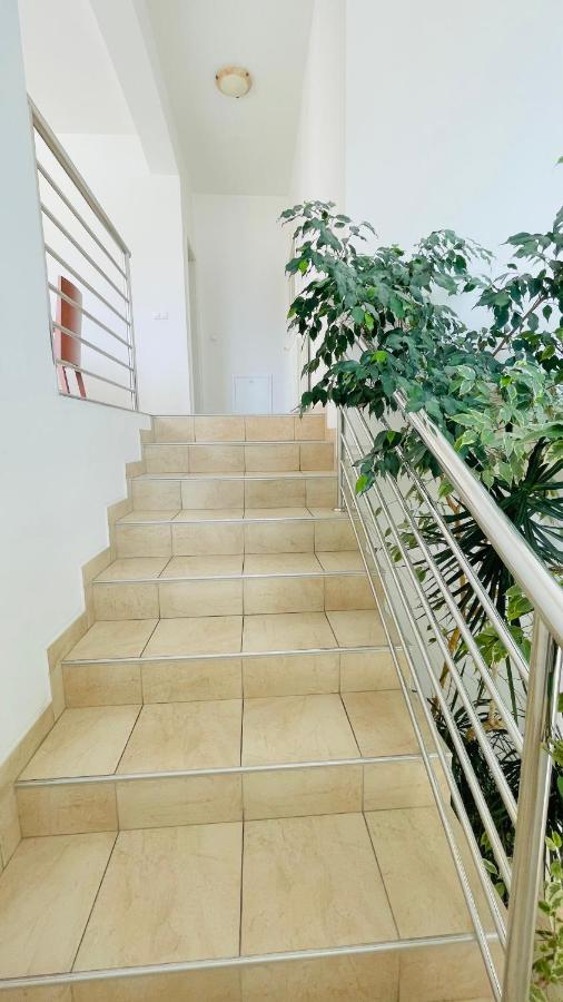 Villa Maestral Zadar Extérieur photo